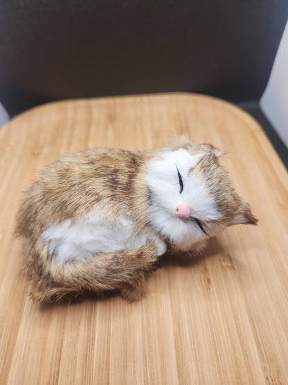 Sleeping Cat Cell Phone Pop Socket Holder