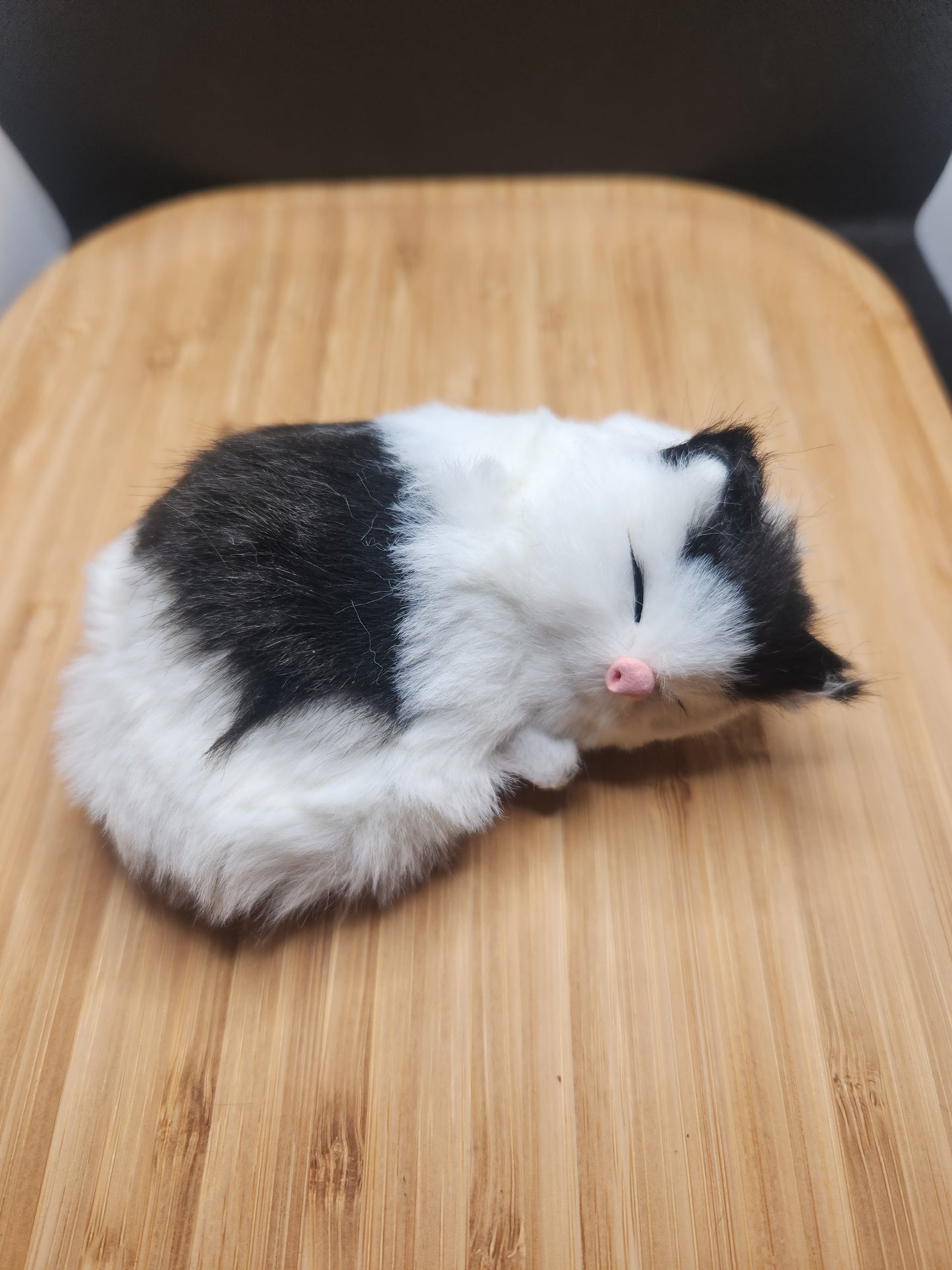 Sleeping Cat Cell Phone Pop Socket Holder