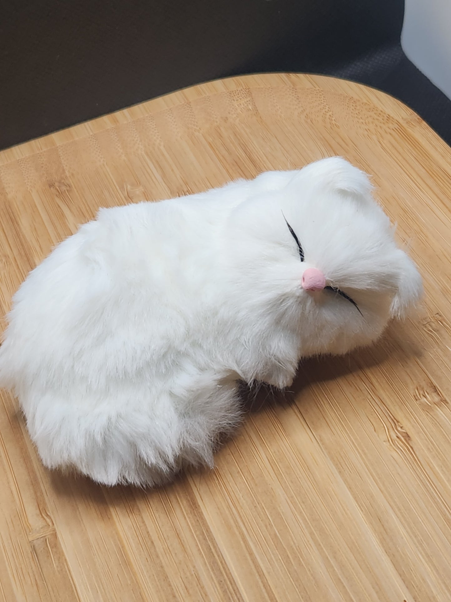 Sleeping Cat Cell Phone Pop Socket Holder