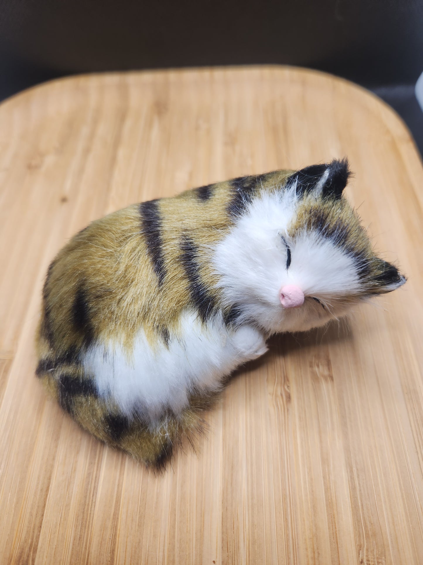 Sleeping Cat Cell Phone Pop Socket Holder