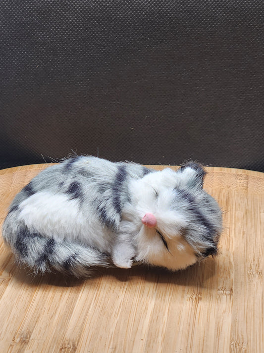 Sleeping Cat Cell Phone Pop Socket Holder