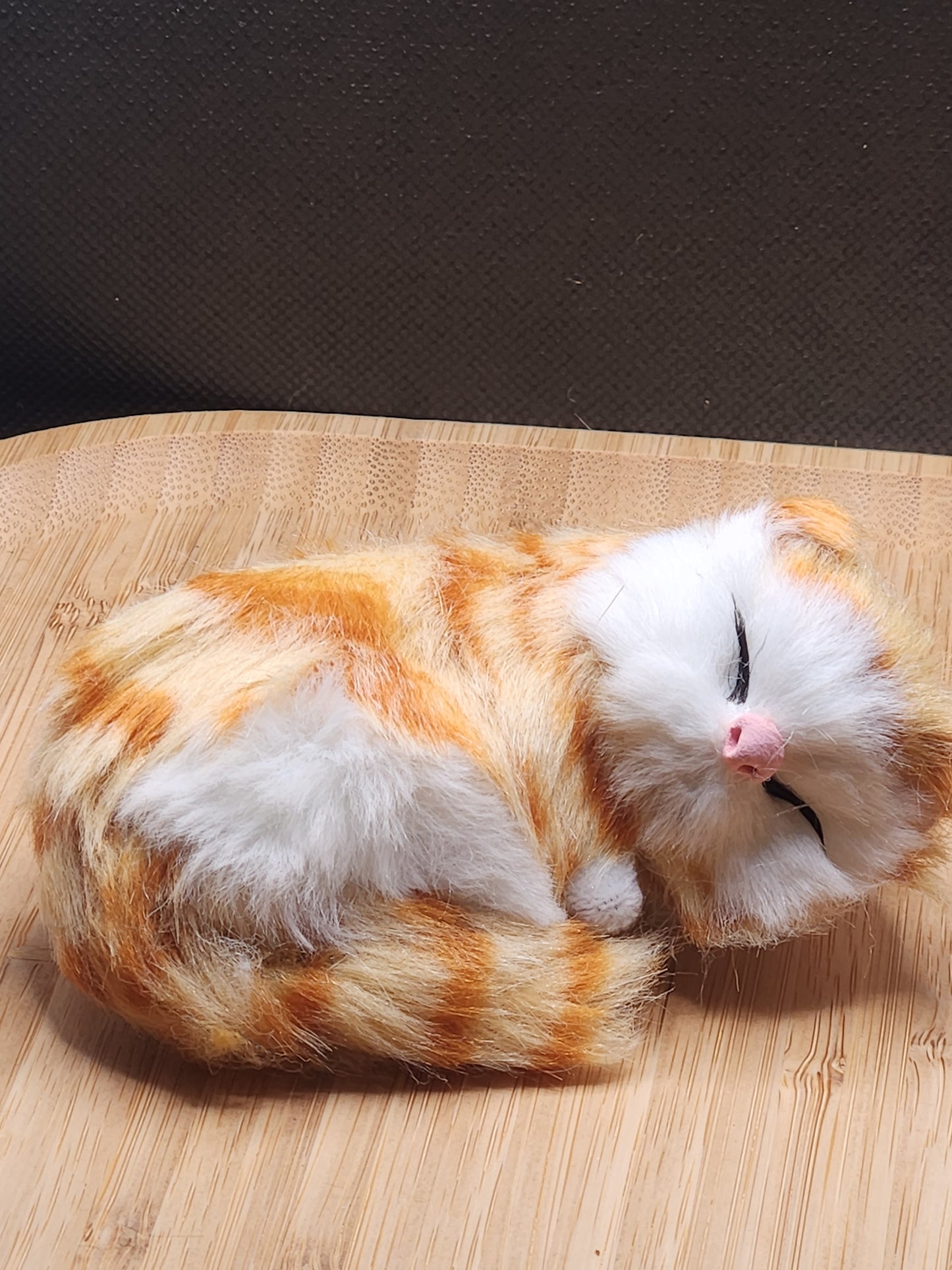 Sleeping Cat Cell Phone Pop Socket Holder