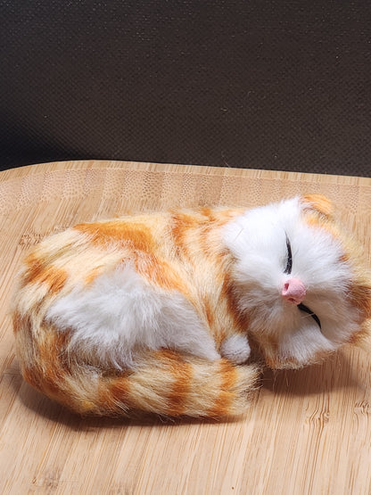 Sleeping Cat Cell Phone Pop Socket Holder